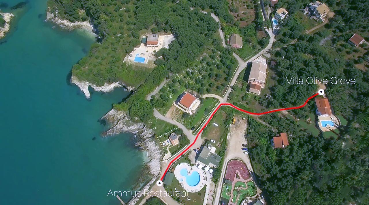 Villa Olive Grove And Sea View Άγιος Σπυρίδωνας Εξωτερικό φωτογραφία